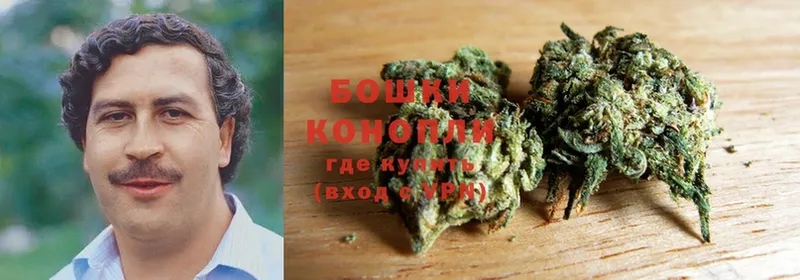 где купить наркоту  Пудож  hydra зеркало  Канабис White Widow 